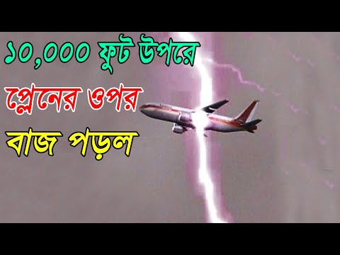 ১০,০০০ ফুট উপর থেকে নীচে পড়ে গেল/The Girl Who Survived 10,000 Feet Free Fall