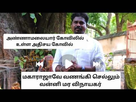 வல்லாள மகாராஜாவே வணங்கி செல்லும் அற்புத விநாயகர் 🙏அண்ணாமலையார் கோவிலில்  உள்ள வன்னி மர விநாயகர்🔥