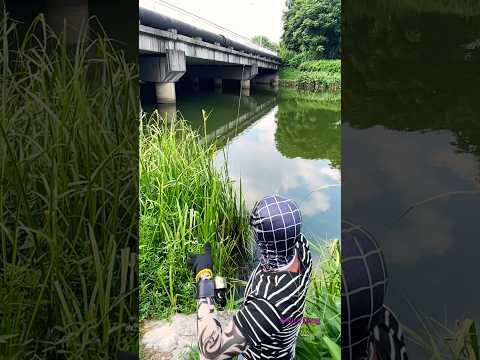 Spider-Man is coming#spiderman #fishing