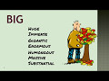 Synonyms and Antonyms Vocabulary Test