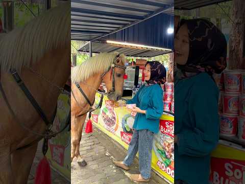 Si bocil lihat kuda pintar sering ke warung minta jajan #bocil #kudapintar #horse #funny #viral