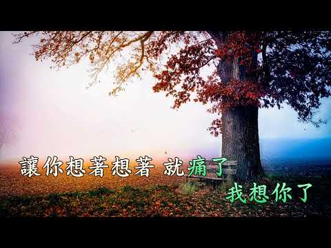 我想你了 (Karaoke) 大歡  (雙聲道, 戴上耳機可聽到左伴右唱)
