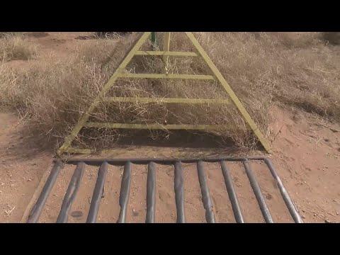 Cattle guard conspiracy? New Mexico ranchers claim county, neighbors want their land