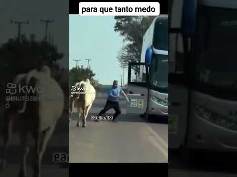 Que medo é esse