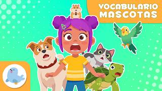 Vocabulario de MASCOTAS para niños 🐶🐱🐠 Perro, gato, tortuga, hámster, pájaro y pez