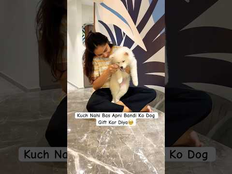 When She Loves Her Dog More Than You🥰#ytshorts #youtubeshorts #viral #funny #comedy #pet #shorts