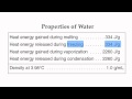 Exploring the Properties of Water