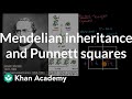 Understanding Genetics with Gregor Mendel