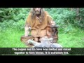 Bronze Tool Creation Process