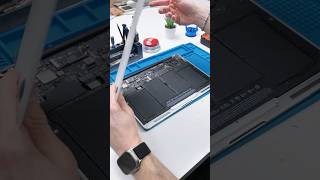 Sometimes It's Just Not Worth It...? #Shorts