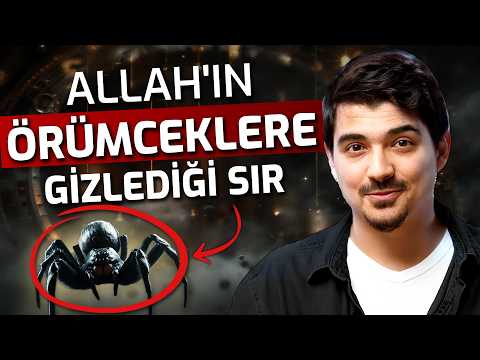 Allah'ın Örümceklere Gizlediği Sır! - Allah'ı İspatlayan Sayılar - Altın Oran ve Matematik Mucizesi