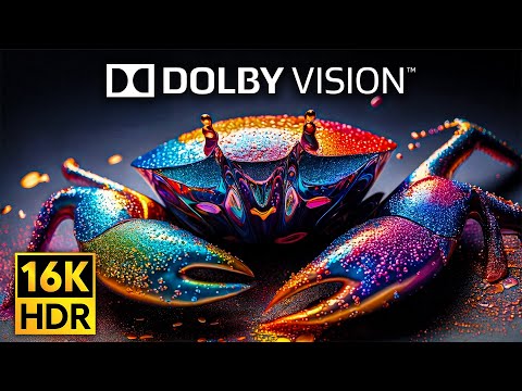 CRYSTAL CLARITY 16K HDR | DOLBY VISION