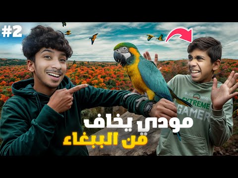 علمت الببغاء على الرقص | شنو قررنا نسمي 😂 @حيدر_علي