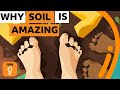 Soil: The Hidden Wonder