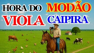 🎻🎶🎵 MODÃO DE VIOLA CAIPIRA - Um Lindo Passeio pelo Interior