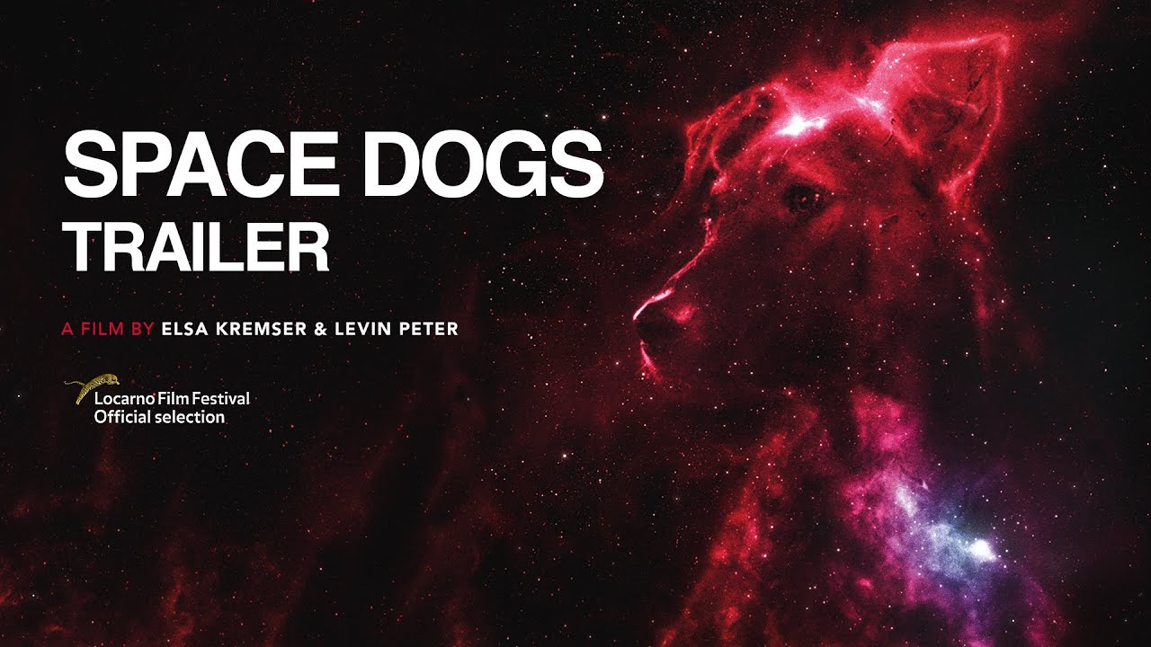 Space Dogs Anonso santrauka