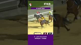 Antalya'da günün 7.koşusunu LADY NALÇAKAN kazandı...