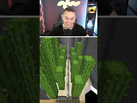 Das ÄNGSTLICHSTE MINECRAFT VIDEO 😥 (TEIL 2) #shorts