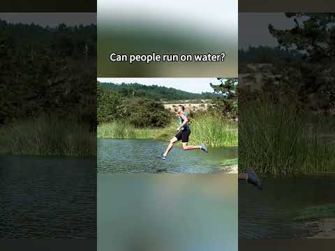 ¿Puede la gente correr sobre el agua?#mythbusters #physics #science