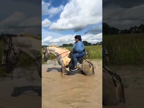 CAIU!!! atravessando lagoa de cavalo