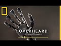 Understanding Bionic Prosthetics and the Science of Touch