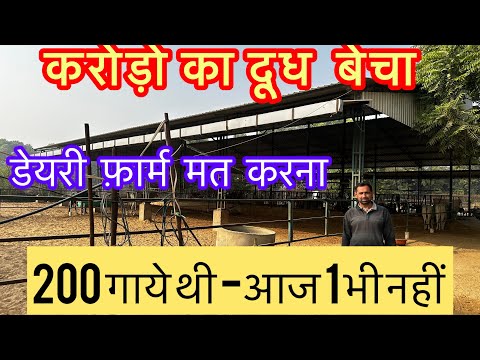 Hf cow dairy farm closed | Dairy farming in India | India Farming management |