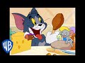 Understanding the Video Tutorial
