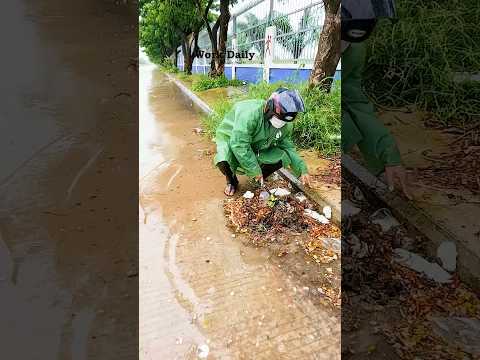 Drainage Reborn Clearing a Clogged Culvert Fast