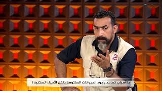 أنا المواطن| جرائم بحق الحيوانات..إيذاء وإساءة معاملة الحيوانات الأليفة