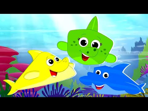 Baby Shark Song, Animal Cartoon and Preschool Nursery Rhymes for Kids