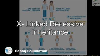 X- Linked Recessive Inheritance