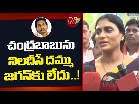 YS Sharmila Slams YS Jagan : జగన్ పై షర్మిల ఘాటు విమర్శలు | NTV Telugu