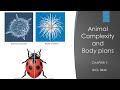 Levels of Biological Organization