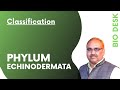 Echinodermata Classification and Characteristics