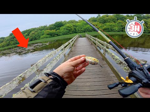 3 Heures pour Pêcher un maximum de brochet en coup du soir dans ce nouvel étang breton