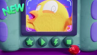 Say Cheese, Chicky! | Where's Chicky? Season 4 | Cartoon Collection English for Kids | New episodes
