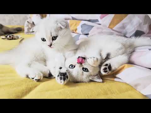 Beautiful and cute brother and sister / Cuteness overload