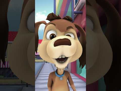 CHOCOLO Y SU IMAGEN EN EL VIDRIO / MI PERRO CHOCOLO 🐾 |   #shorts #elperrochocolo #shortsinfantil