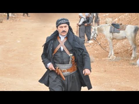 أسئلة وأجوبة  Q&A  #WaelSharaf