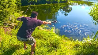 Maior Pesca e Caça de ZARABATANA até hoje, Fiz isso e Zerei a Vida
