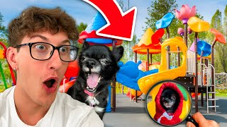 PUDDIN GOES TO THE PARK!!