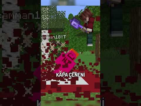 Minecraft Vagonlarının Gerçek Gücü... ⛏💎