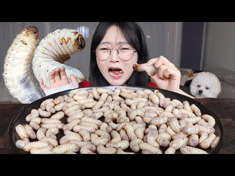 이건 먹뱉해도 합법..꿈틀꿈틀 애벌레🐛굼벵이 먹방 WRIGGLING CATERPILLAR MUKBANG