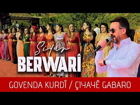 Şiyar Berwari - Govenda Kurdî - Çiyaye gabaro  [ 2024 ©  ] شيار برواري Wedding