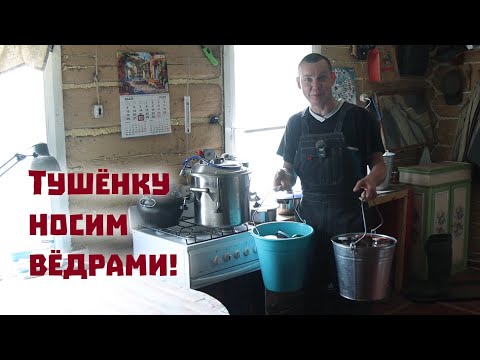 Весеннего мёда у нас нет , зато тушёнку носим вёдрами!