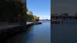Boardwalk views in Austin, TX #shorts #travelshorts #austin #texas #boardwalk #river #water #sun