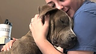 Rescue dog is so happy to have a home