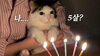내가 5살이라니... ㅣ호섭 생일vlog(선물 언박싱🎂, 양치장인 김호섭🪥)