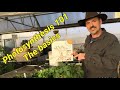 Photosynthesis and Plant Growth Concepts