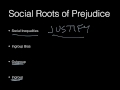 Understanding Prejudice and Social Inequality